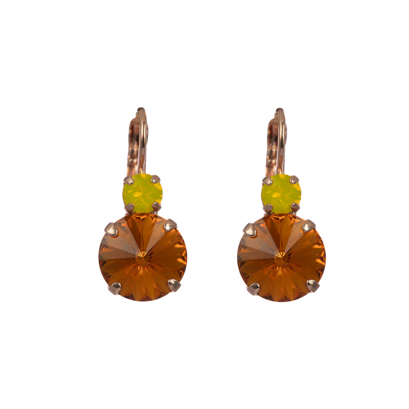 Double Stone Mineral Leverback Earrings