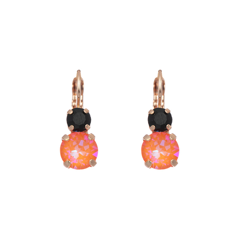 Double Stone Leverback Earrings