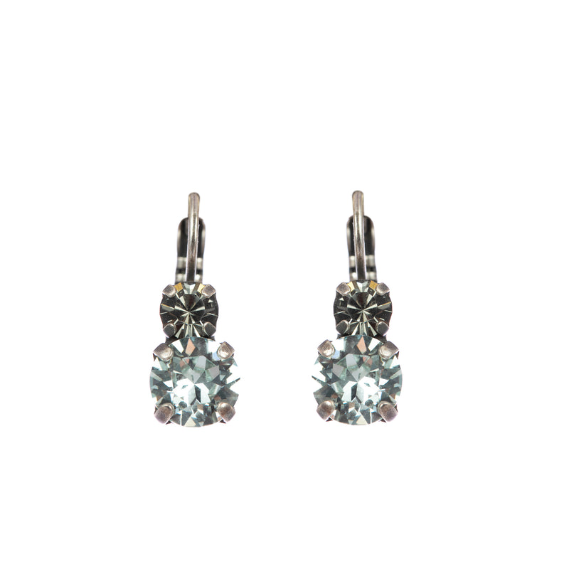 Double Stone Leverback Earrings