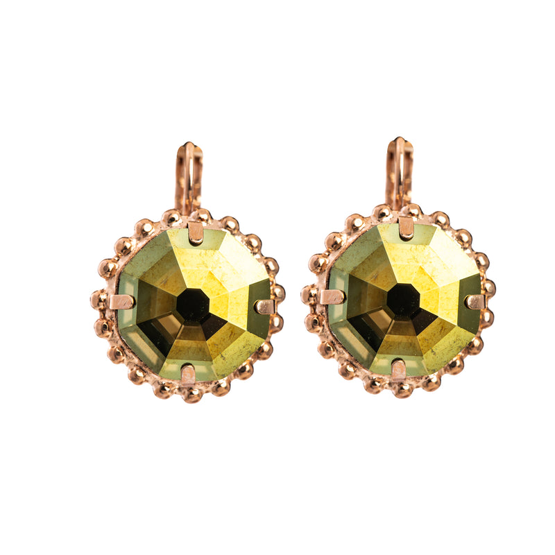 Extra Luxurious Faceted Leverback Earrings
