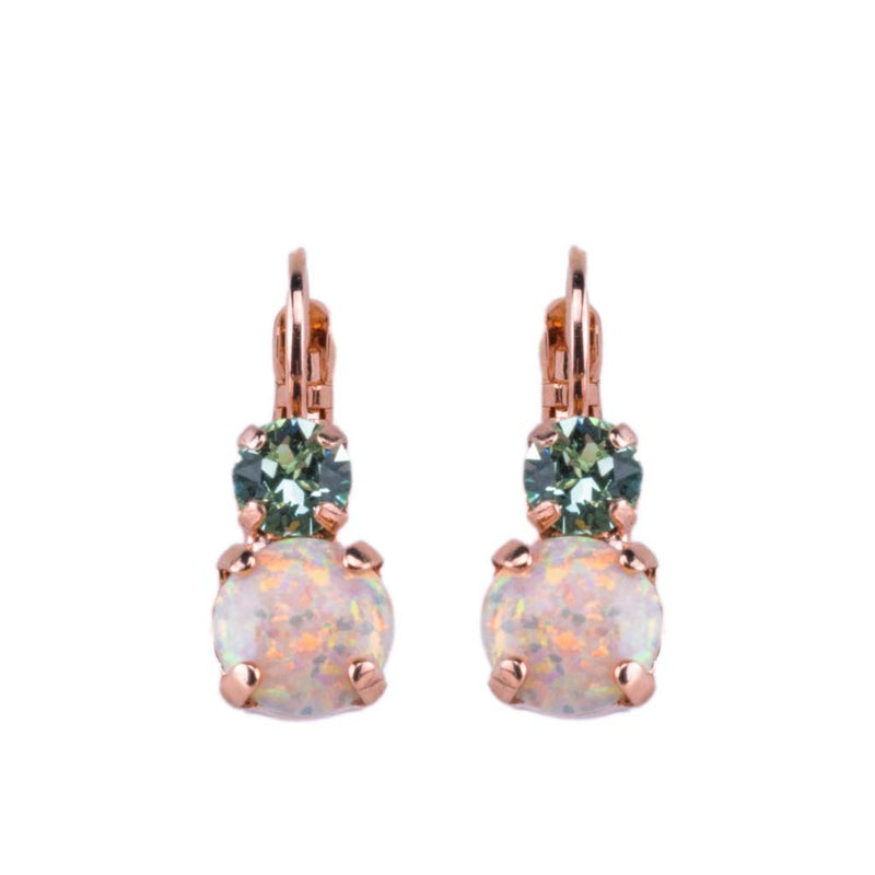 Double Stone Leverback Earrings in "Enchanted"