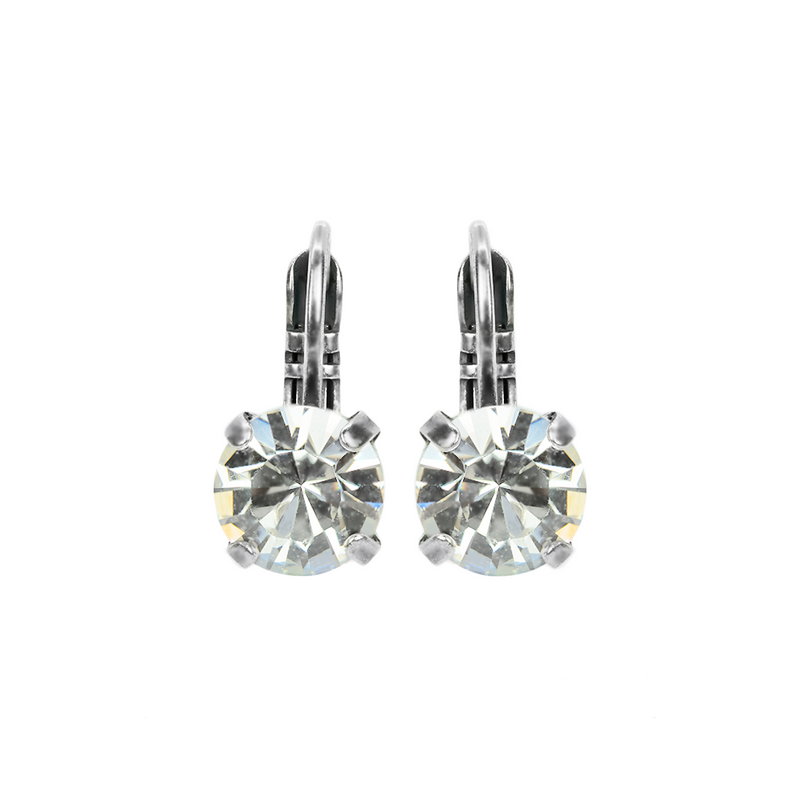 Must-Have Leverback Earrings in Clear